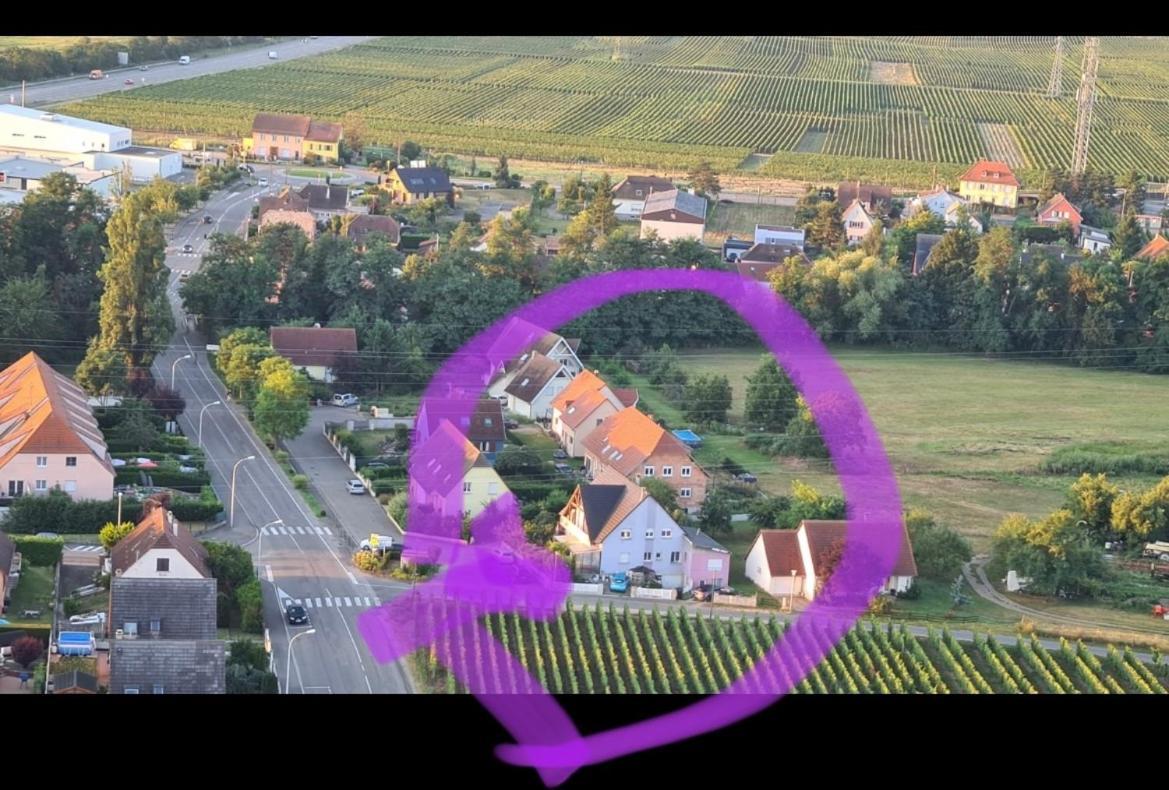 Au Petit Logelbach Daire Wintzenheim Dış mekan fotoğraf